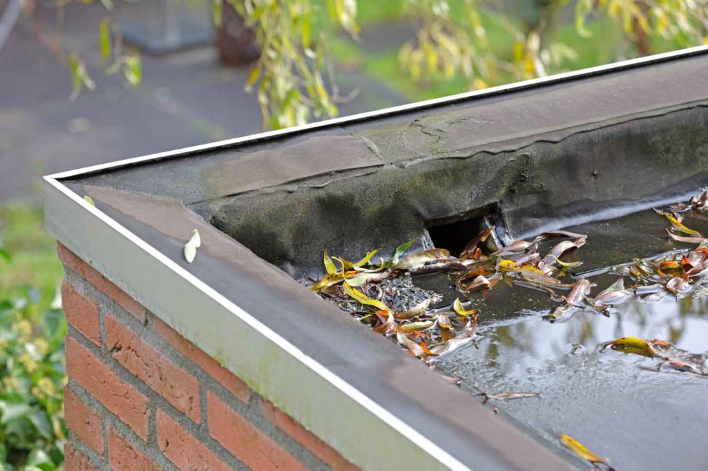 Debris buildup in flat roof drainage area