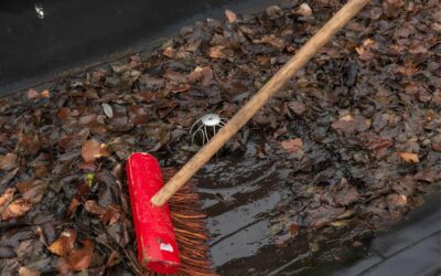 Avoiding Common Flat Roof Problems with Preventative Maintenance